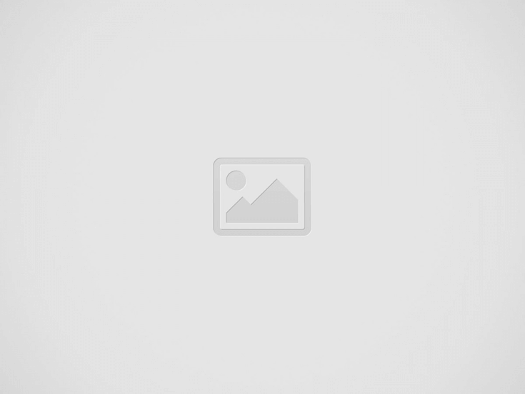 Dynamic PDF Template for Customized Documents